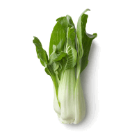 Vegetal Bok Choy - Couve Chinesa