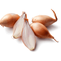 Vegetais Cebolas e Chalotas