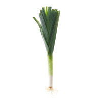 Vegetal Alho Francês