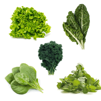 Couve, Aface, Agrião, Acelga e Espinafre