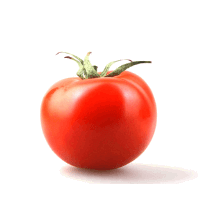 Vegetal Tomate